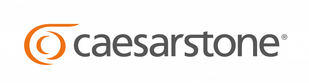CS logo